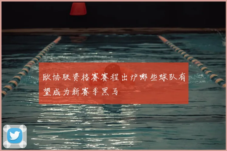 欧协联资格赛赛程出炉哪些球队有望成为新赛季黑马
